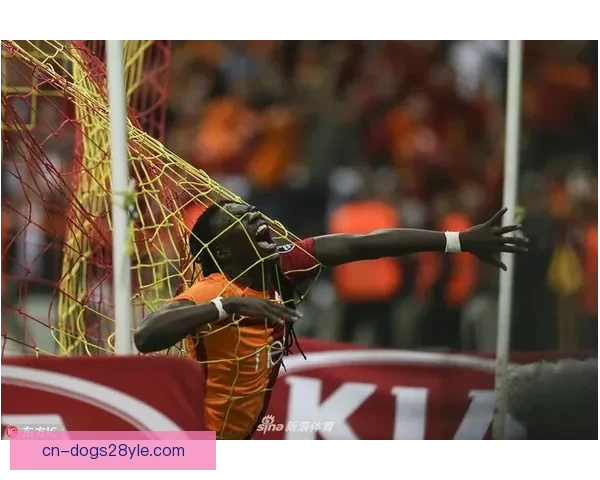 备战世预赛土超第27轮改期