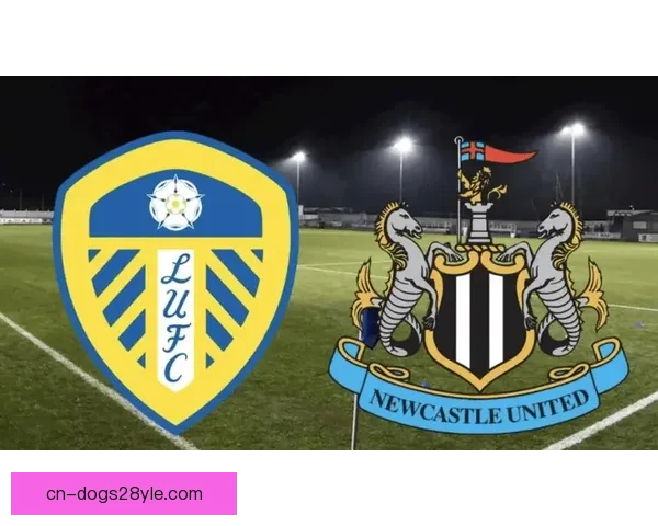 利兹联主场难破英超领头魔咒