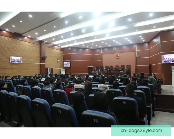 仲裁驳回上诉支撑奥委会再裁定