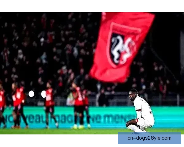 失利登贝莱开喷恩叔称至上