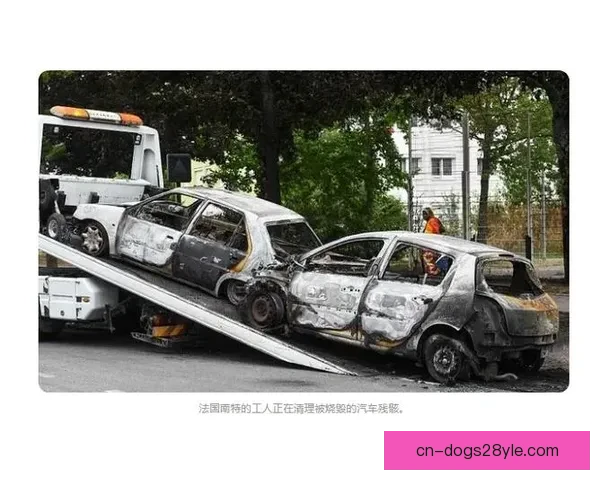 大学生队大巴被砸负责人受伤