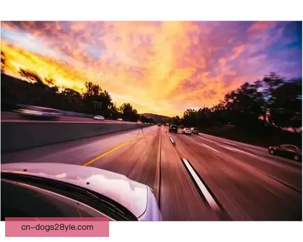 十年拉玛西亚情断无人问心寒路