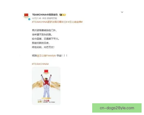 国家队祝王心迪终迎坦途启新程