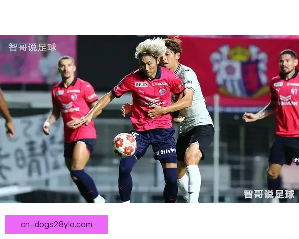 大阪樱花两将重伤官方确认缺阵