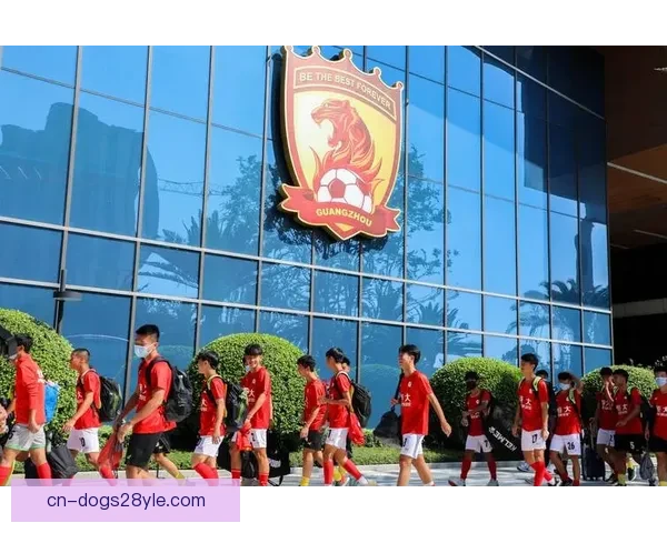 恒大足校重创追偿受阻风波再起