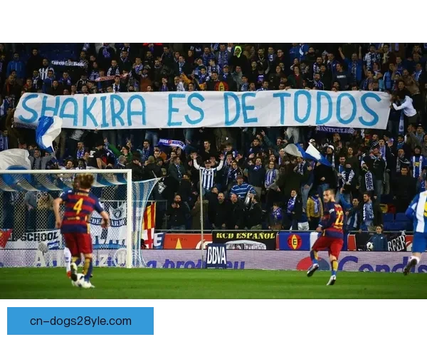 本菲卡调查两名辱维尼修斯球迷